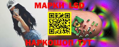 индика Боровичи