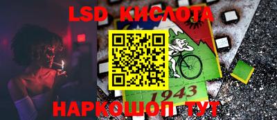 стафф Бердск