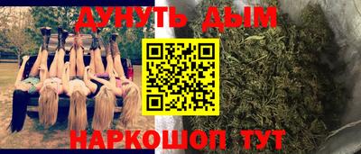 стафф Бердск