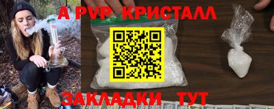 стафф Бердск
