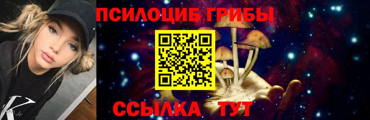 Псилоцибиновые грибы Psilocybe  Вход с VPN  Благодарный  Псилоцибиновые грибы мицелий 